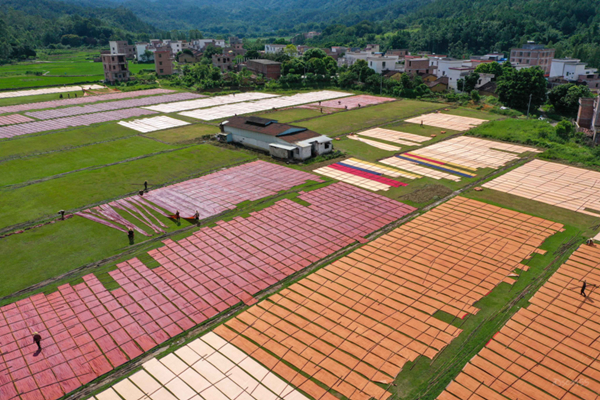 肇慶染料工廠消防維保